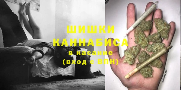 индика Лабытнанги