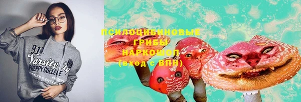 a pvp Кулебаки