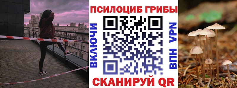 Псилоцибиновые грибы GOLDEN TEACHER  Касли 